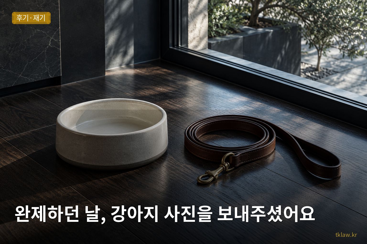 완제하던 날, 강아지 사진을 보내주셨어요