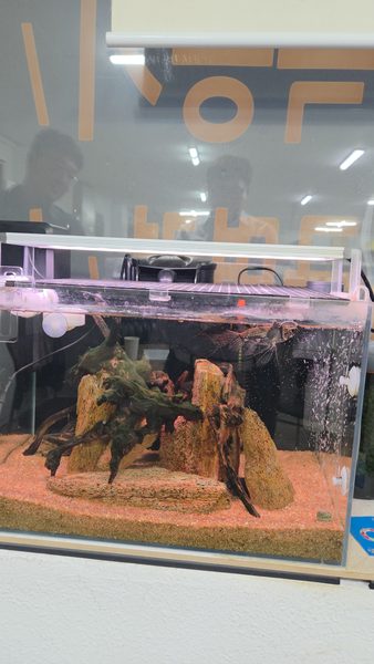 사무실 전경 #13