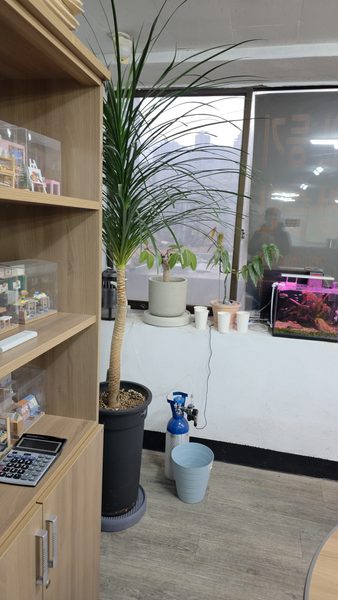 사무실 전경 #45