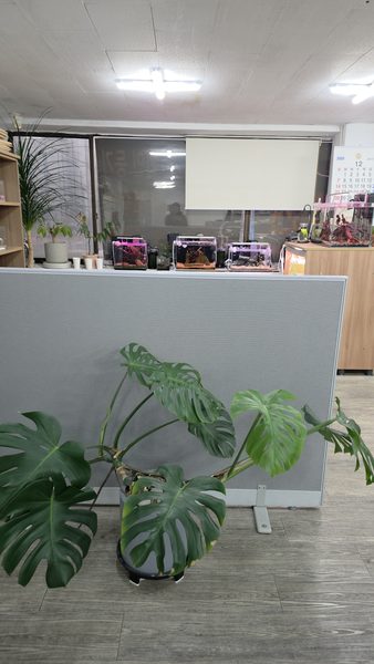 사무실 전경 #51